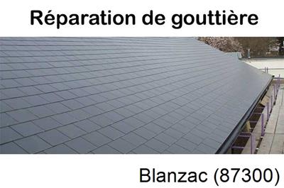 Pose gouttière pvc à Blanzac-87300