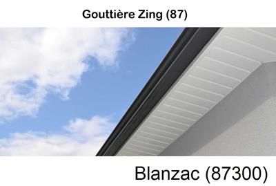 gouttière alu à Blanzac-87300