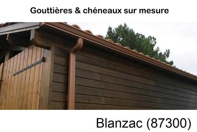 Artisan gouttière à Blanzac-87300