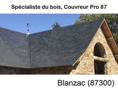 Artisan charpentier à Blanzac-87300