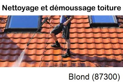 Artisan couvreur propose anti-mousse à Blond-87300