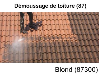 Toiture démoussage Blond-87300