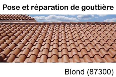 entreprise de gouttière à Blond-87300