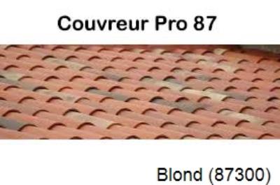 Réparation fuite à Blond-87300