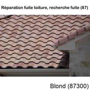 Votre couvreur pour la réparation des toits Blond-87300