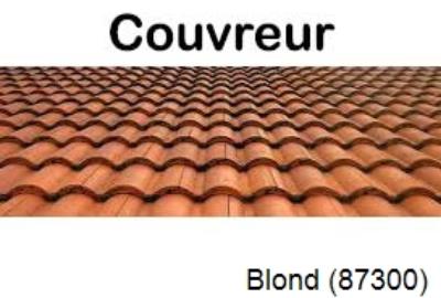 Toiture réparation à Blond-87300