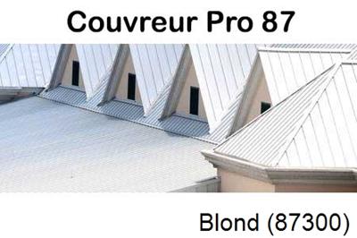 Entreprise de zinguerie à Blond-87300