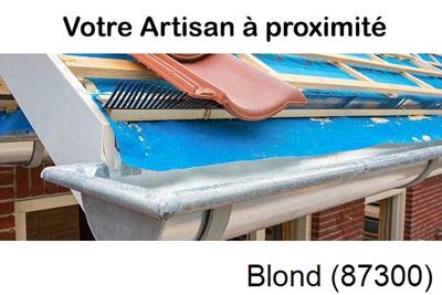 Toiture neuve en zinc Blond-87300