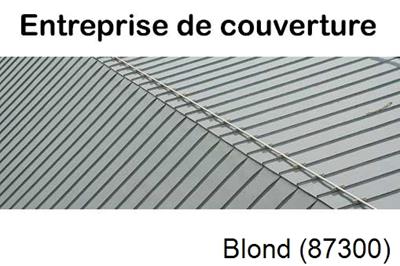 Couvreur pro 87 Blond-87300