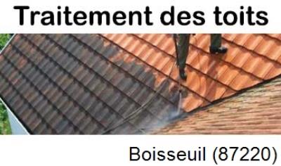 Démoussage sur toiture ardoise et tuile Boisseuil-87220