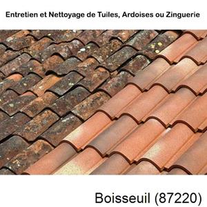 Nettoyage toiture à Boisseuil-87220