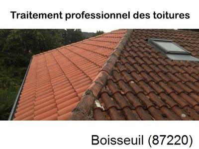 Couvreur pro 87 sur Boisseuil-87220