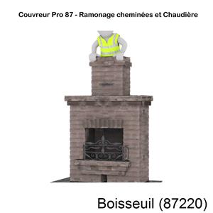 couvreur-ramoneur à Boisseuil-87220