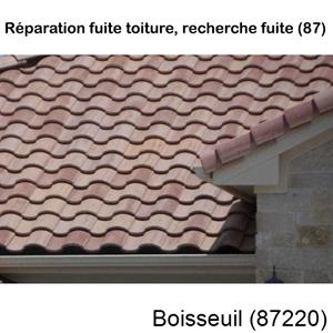 Votre couvreur pour la réparation des toits Boisseuil-87220