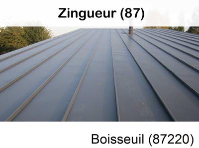 Votre zingueur en image à Boisseuil-87220