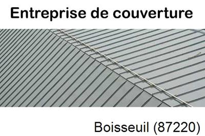 Couvreur pro 87 Boisseuil-87220