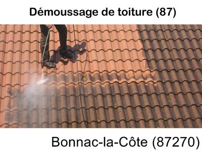 Toiture démoussage Bonnac-la-Côte-87270