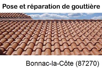 entreprise de gouttière à Bonnac-la-Côte-87270