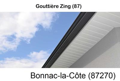 gouttière alu à Bonnac-la-Côte-87270