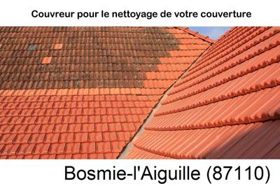 Entreprise de couverture à Bosmie-l'Aiguille-87110