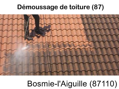 Toiture démoussage Bosmie-l'Aiguille-87110