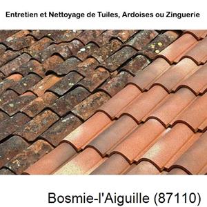 Nettoyage toiture à Bosmie-l'Aiguille-87110