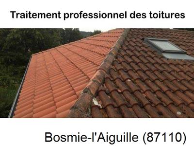 Couvreur pro 87 sur Bosmie-l'Aiguille-87110