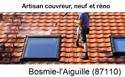 La référence en toiture à Bosmie-l'Aiguille-87110