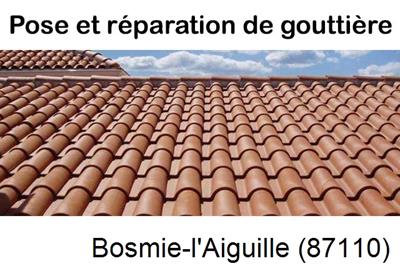 gouttière aluminium en continu à Bosmie-l'Aiguille-87110