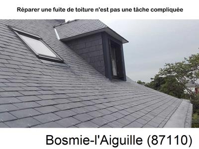 Bosmie-l'Aiguille%20(87110)