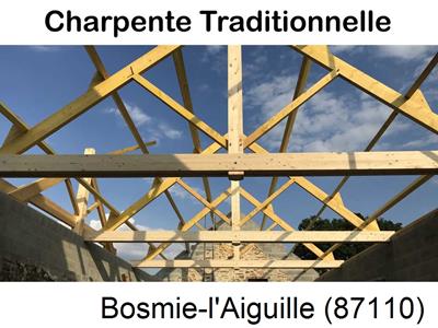 La référence en recherche de fuite toiture à Bosmie-l'Aiguille-87110