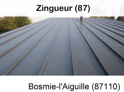 Votre zingueur en image à Bosmie-l'Aiguille-87110