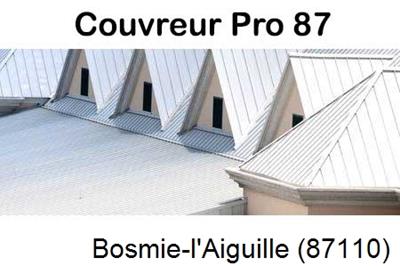 Entreprise de zinguerie à Bosmie-l'Aiguille-87110