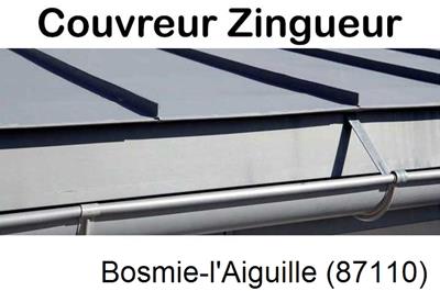 Photo toiture zinc Bosmie-l'Aiguille-87110