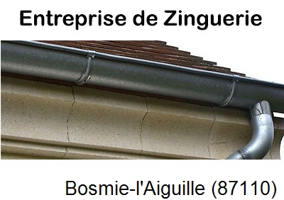 Artisan couvreur zingueur Bosmie-l'Aiguille-87110