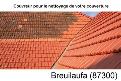 Entreprise de couverture à Breuilaufa-87300