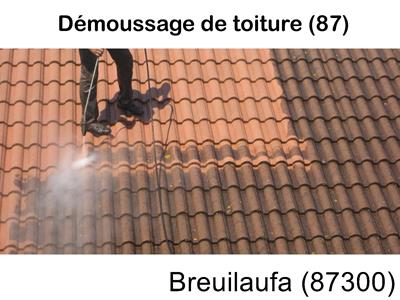 Toiture démoussage Breuilaufa-87300