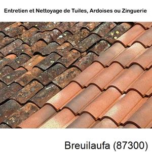 Nettoyage toiture à Breuilaufa-87300