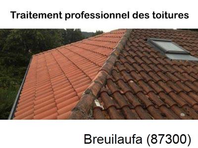 Couvreur pro 87 sur Breuilaufa-87300