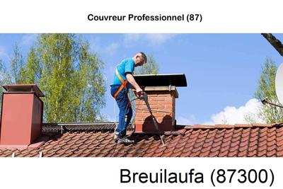 Couvreur à Breuilaufa-87300