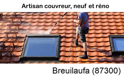 La référence en toiture à Breuilaufa-87300