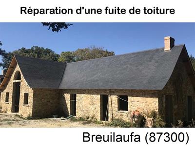 Artisan couvreur à la recherche d'une fuite Breuilaufa-87300