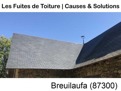 Travaux rénovation toiture à Breuilaufa-87300