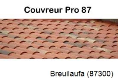 Réparation fuite à Breuilaufa-87300