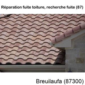 Votre couvreur pour la réparation des toits Breuilaufa-87300