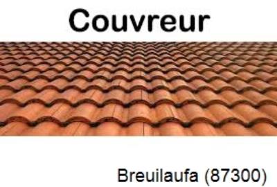 Toiture réparation à Breuilaufa-87300