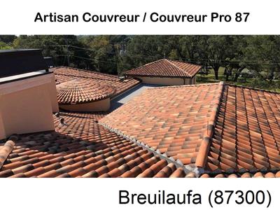 Votre couvreur dans le 87 pour la réparation de votre couverture à Breuilaufa-87300