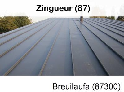 Votre zingueur en image à Breuilaufa-87300