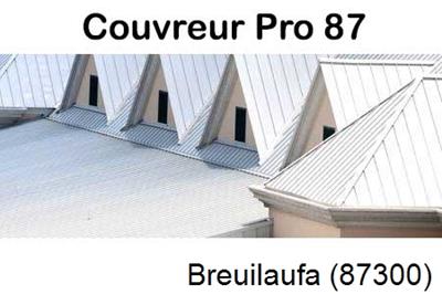 Entreprise de zinguerie à Breuilaufa-87300