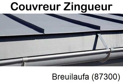 Photo toiture zinc Breuilaufa-87300